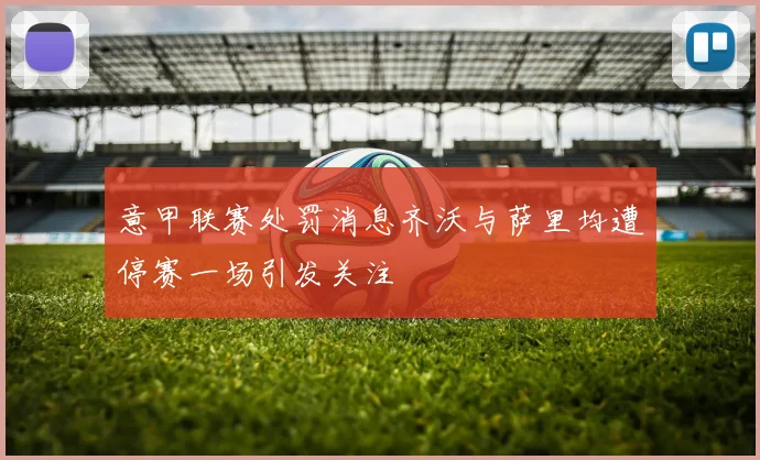 意甲联赛处罚消息齐沃与萨里均遭停赛一场引发关注