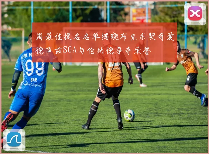 周最佳提名名单揭晓布克东契奇爱德华兹SGA与伦纳德争夺荣誉